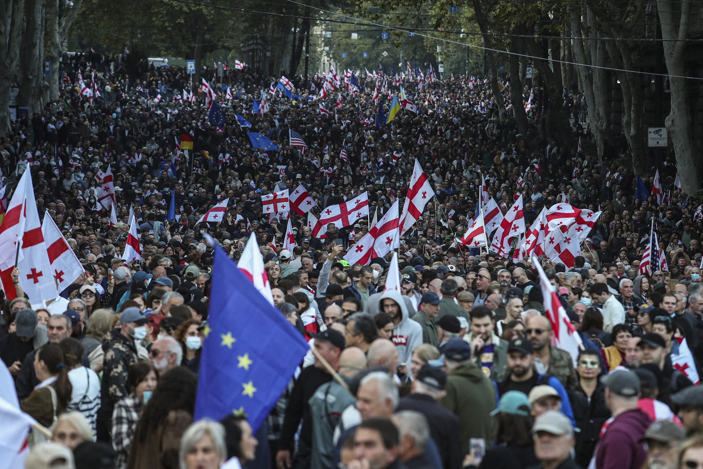 Демонстранты обвинили действующие власти в тесных связях с Россией и отказе от курса на евроинтеграцию.