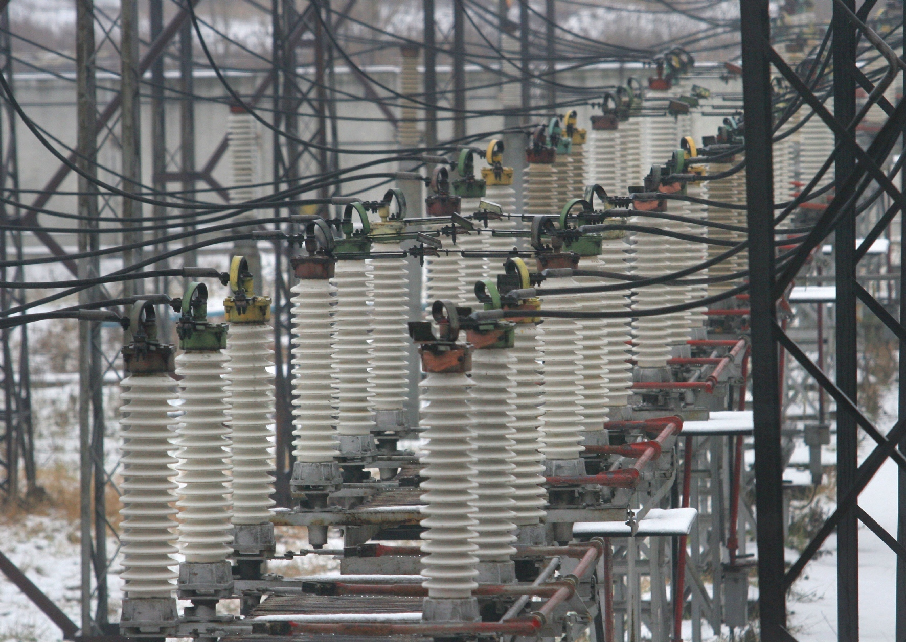 Фото: Дроздов Александр / PhotoXPress.ru