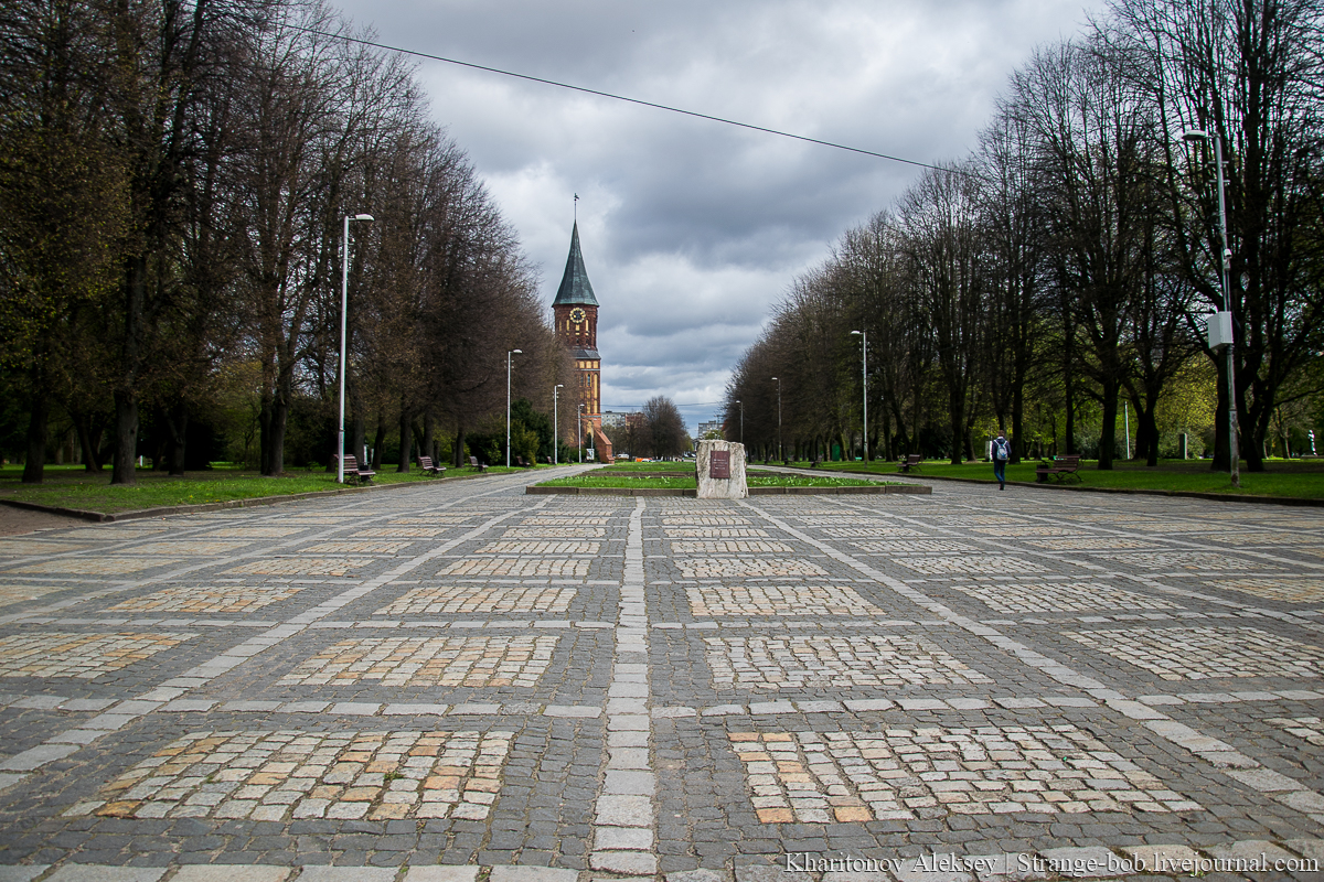 Фото: Архив РБК Калининград