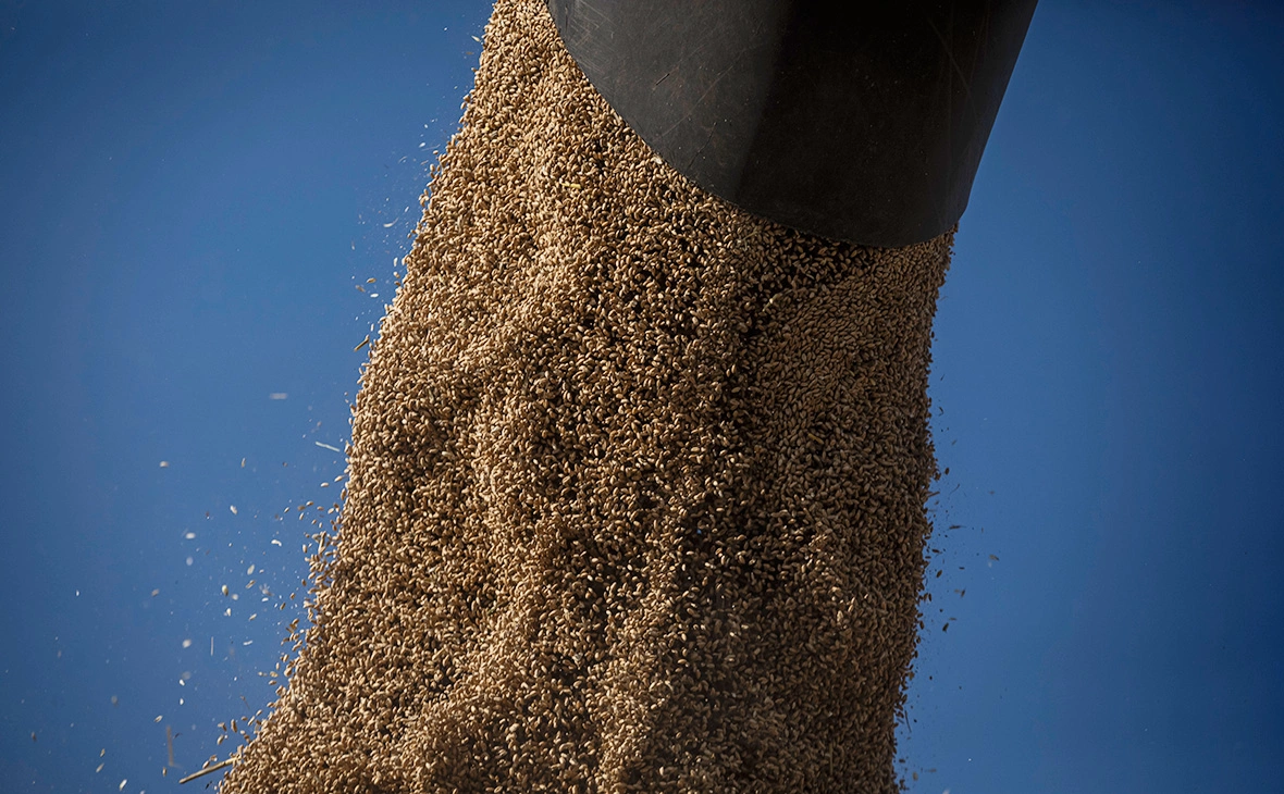 Ed Ram / Getty Images