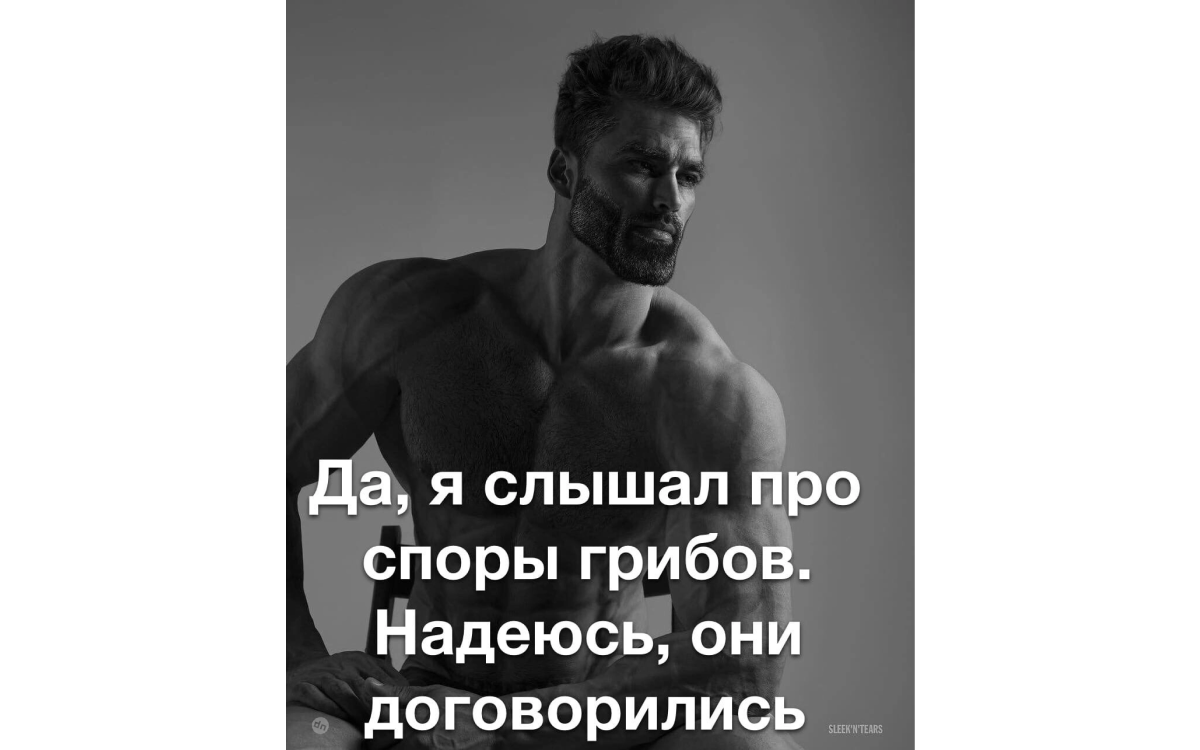 Гигачад и микология