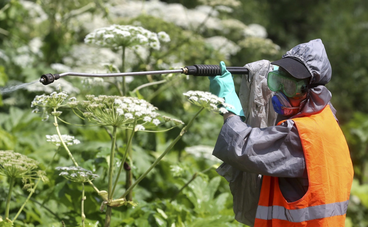 Сергей Савостьянов / ТАСС
