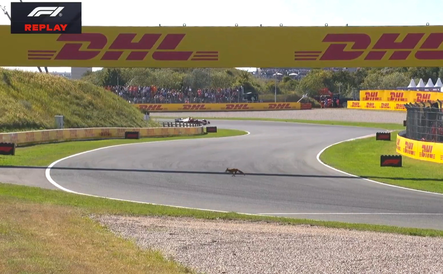 Скриншот с видео