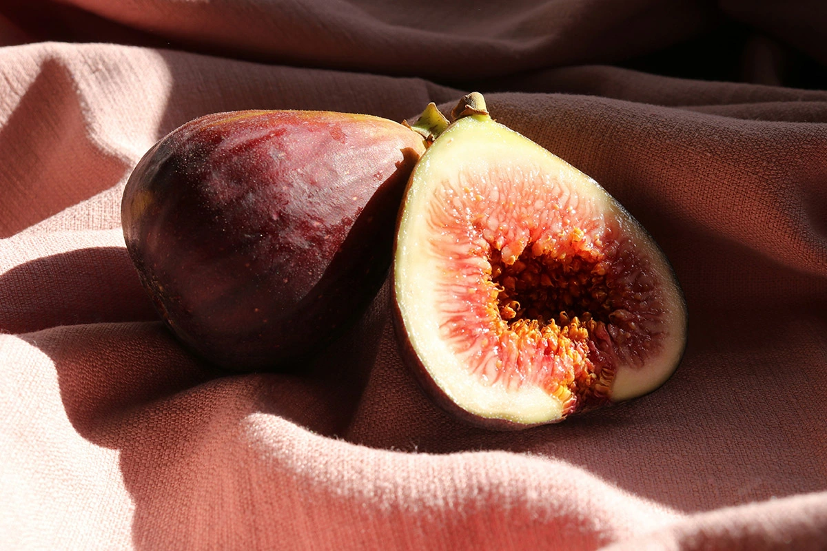 Свежий инжир подходит не только к сырам и десертам