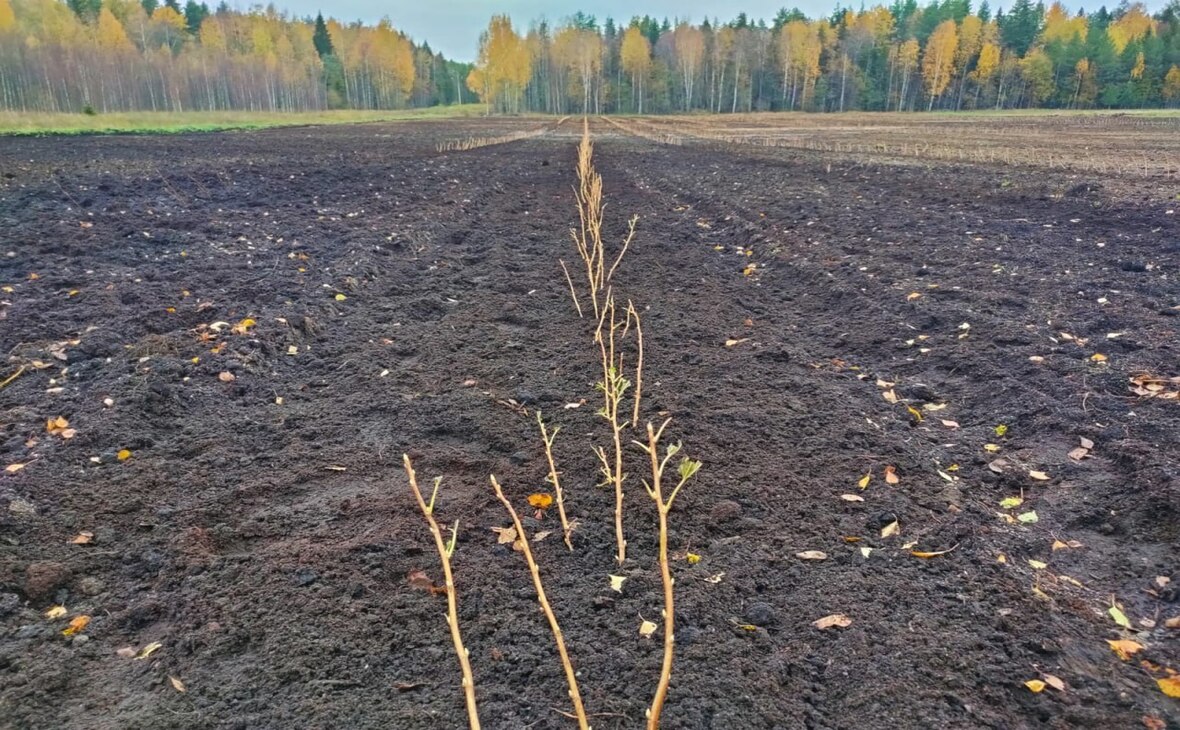 Фото: Артур Парфенчиков/ t.me 