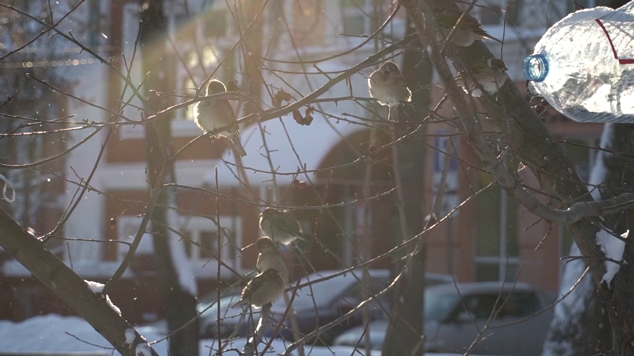 Фото: РБК Пермь