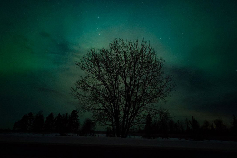 Псковская область