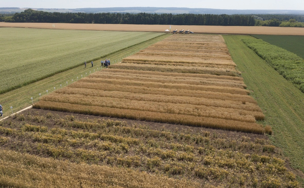 пресс-служба правительства РБ