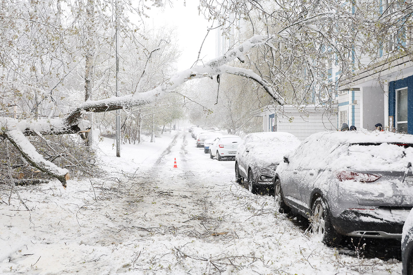 Фото:  Сергей Фадеичев / ТАСС