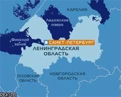 В Петербурге освобождены дети, похищенные с целью выкупа