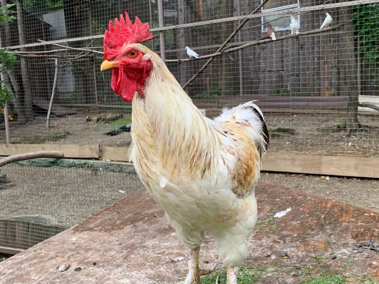 РБК Приморье