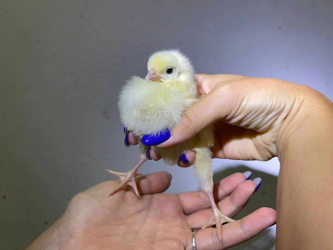 РБК Приморье