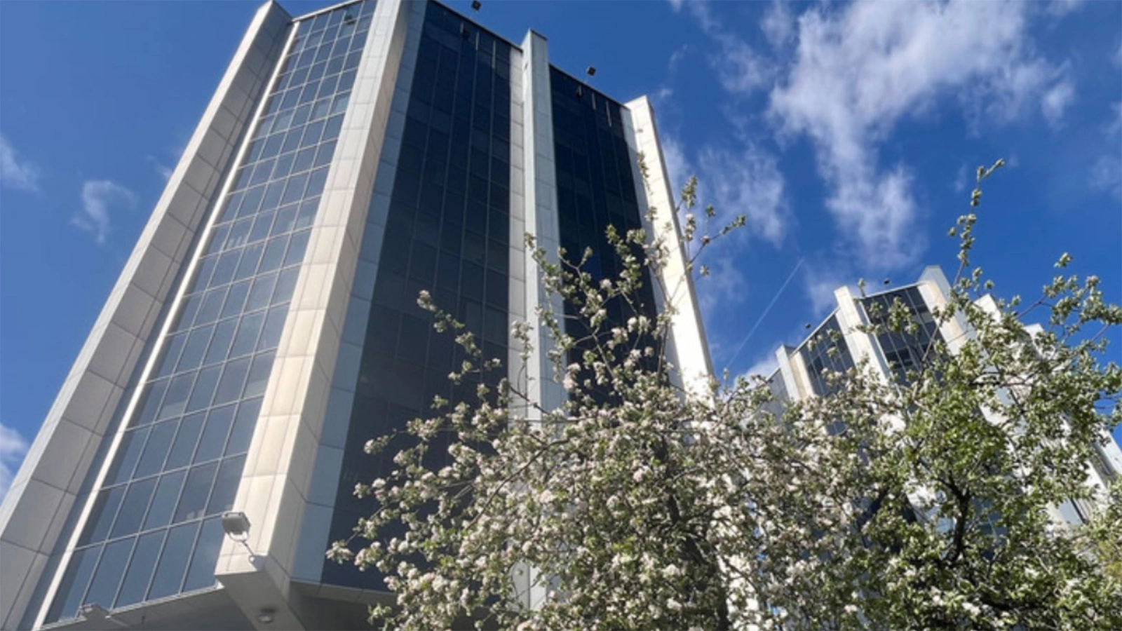 Японский центр по развитию торгово-экономических связей