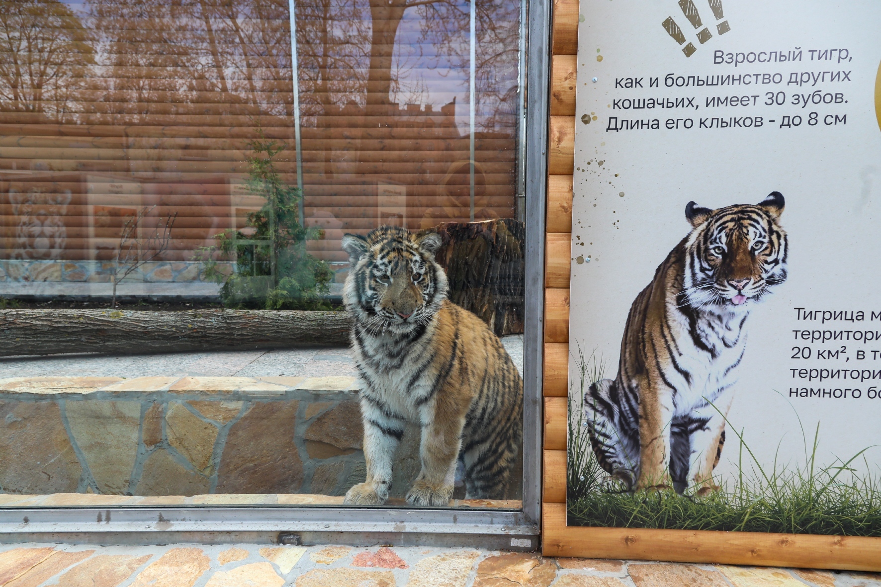 Фото: Пименов Роман/PhotoXPress.ru