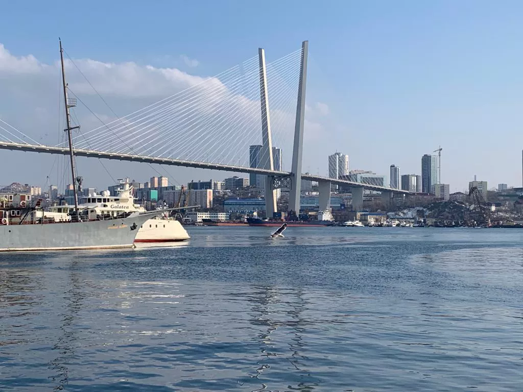РБК Приморье