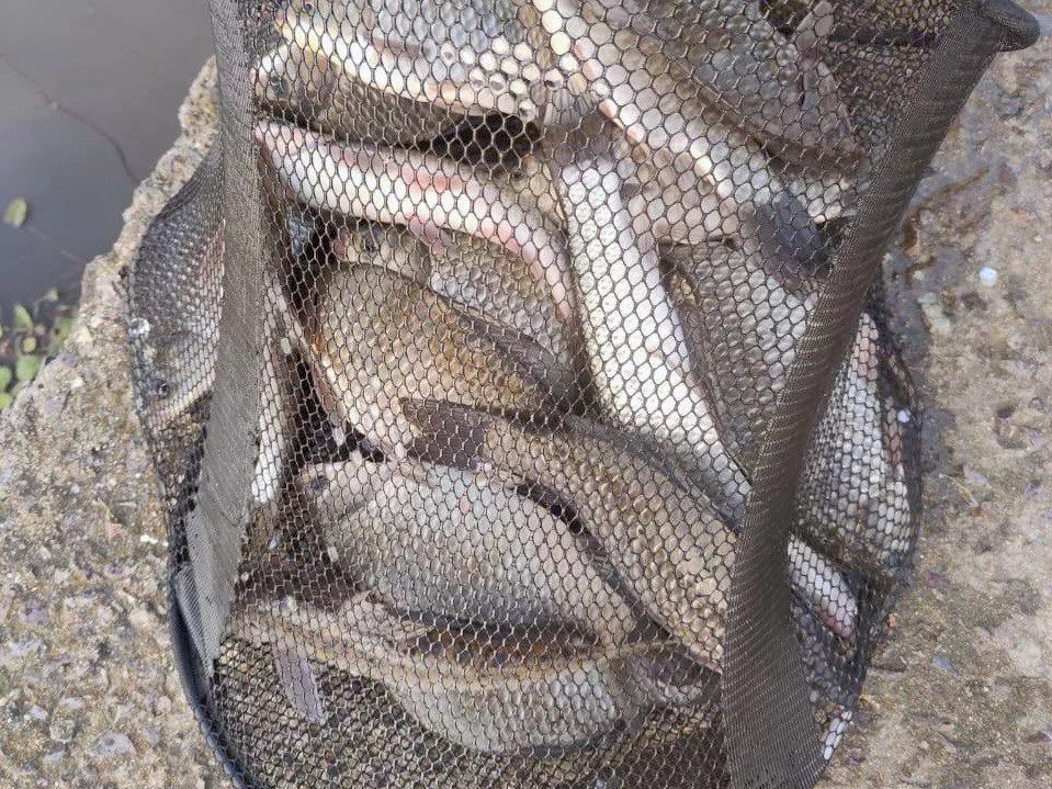 РБК Приморье 