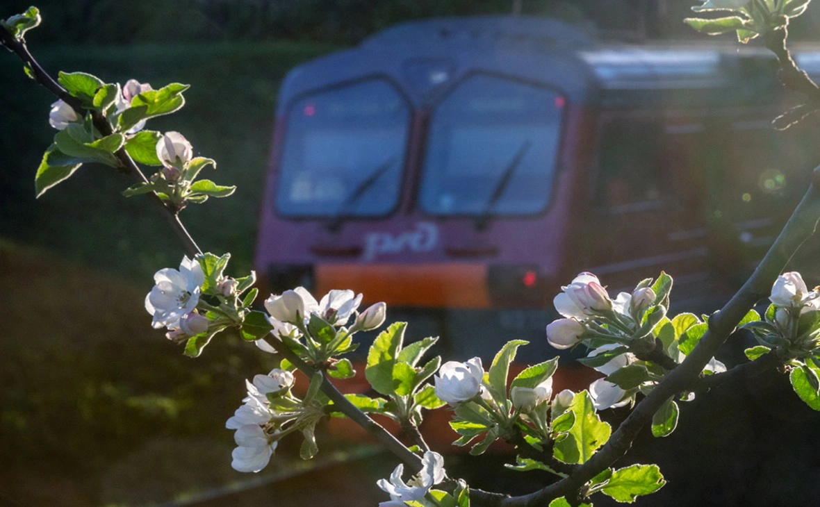 company.rzd.ru