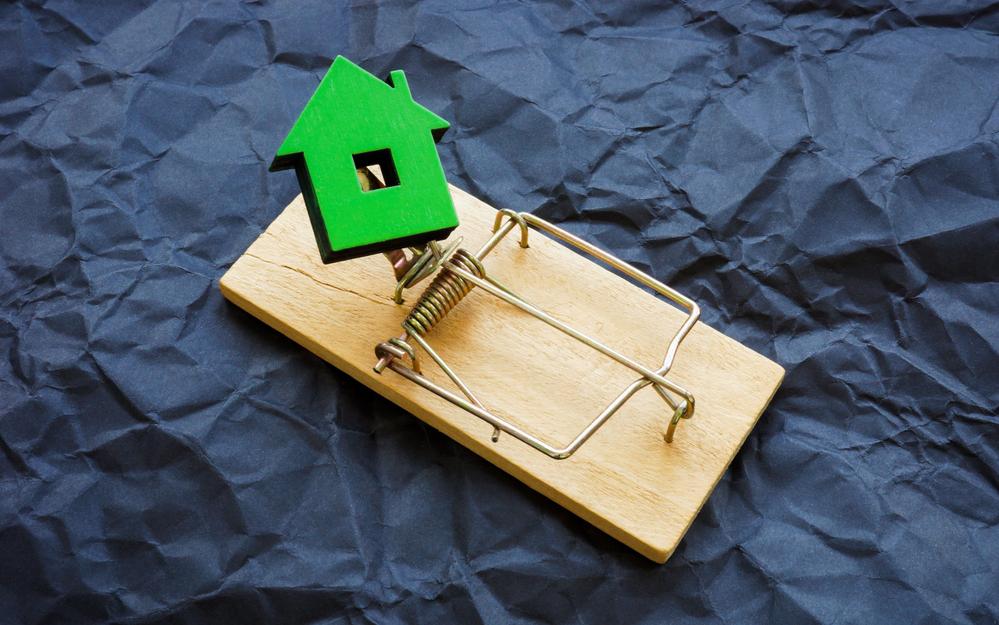 Фото: Vitalii Vodolazskyi / Shutterstock