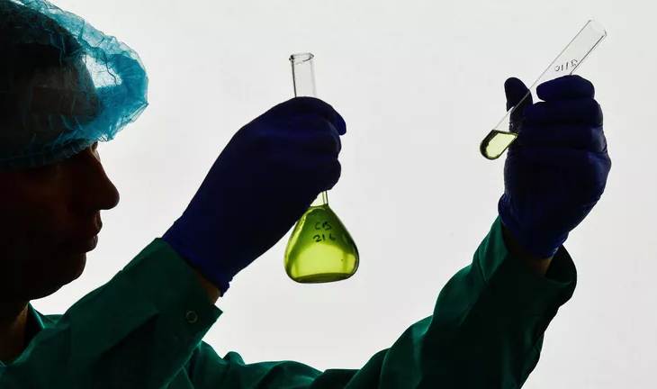 Фото: РИА Новости/Алексей Куденко