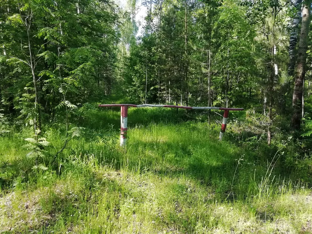 РБК Вологда