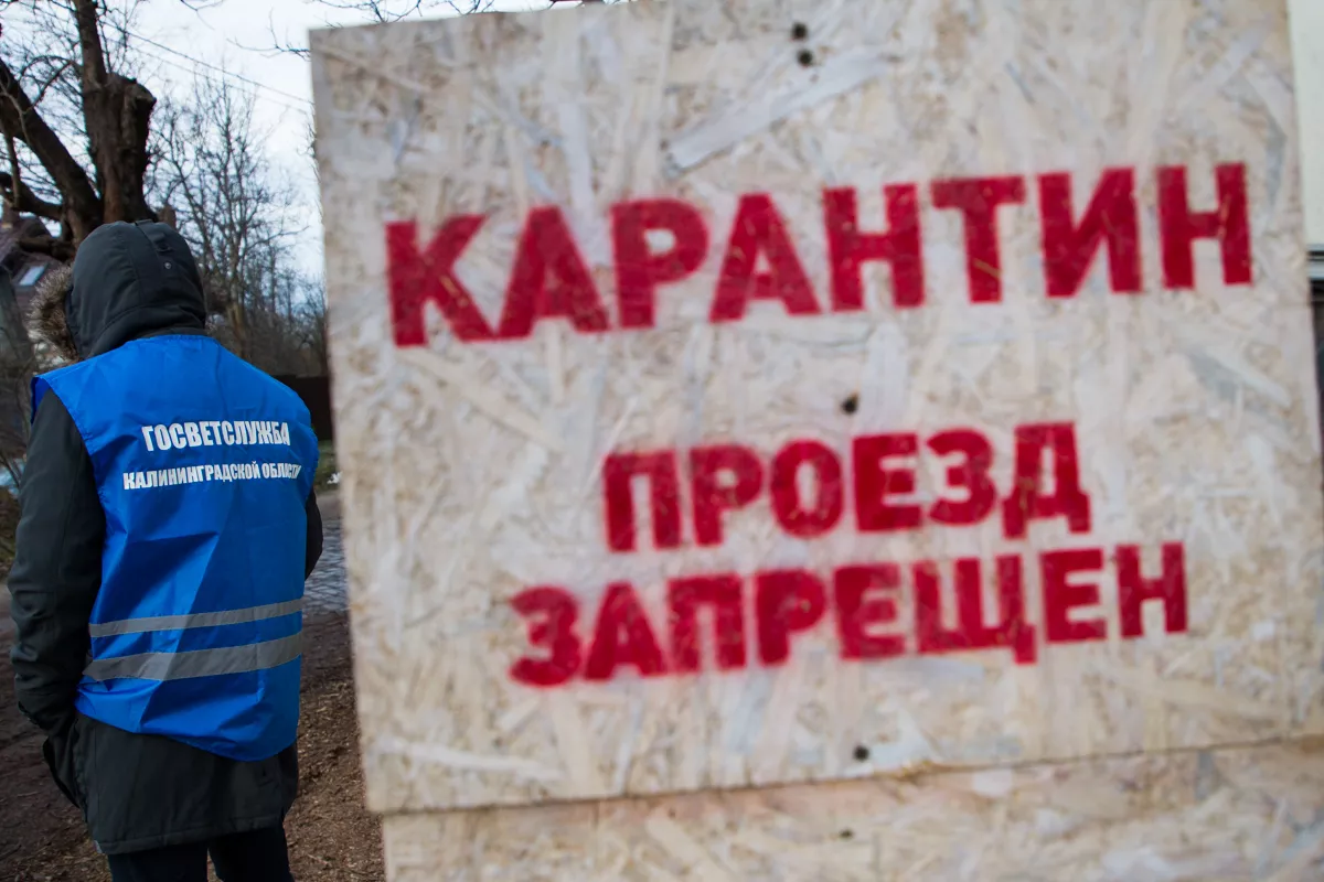 Александр Подгорчук