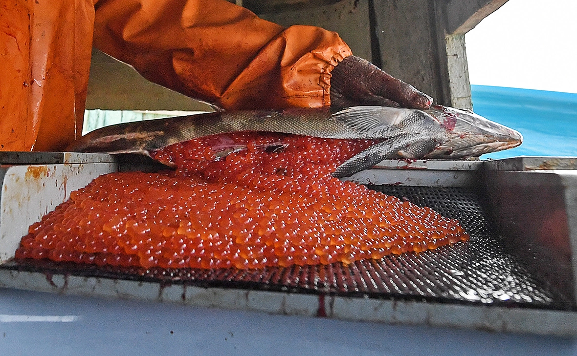 Юрий Смитюк / ТАСС