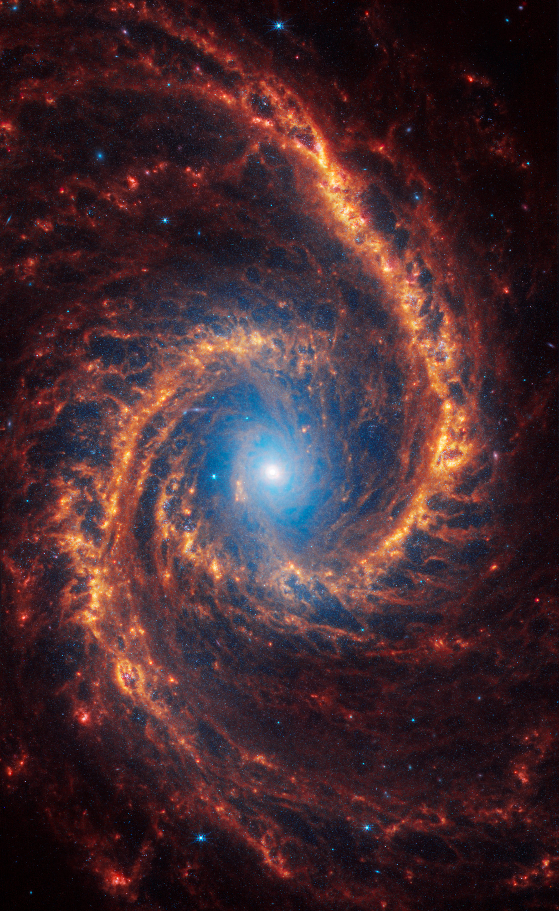 Галактика NGC 1566 в созвездии Золотой Рыбы. Ее популярное название&nbsp;&mdash; &laquo;Испанская танцовщица&raquo;