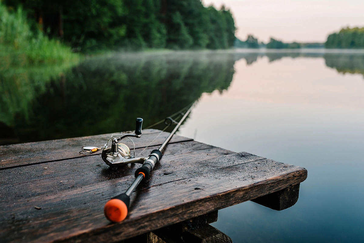 Sergii Sobolevskyi / Shutterstock / FOTODOM