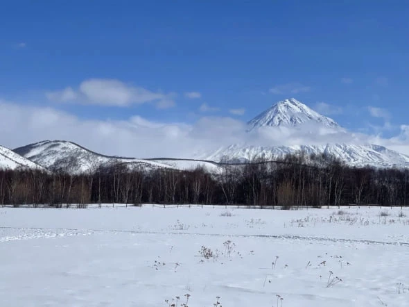 РБК Приморье