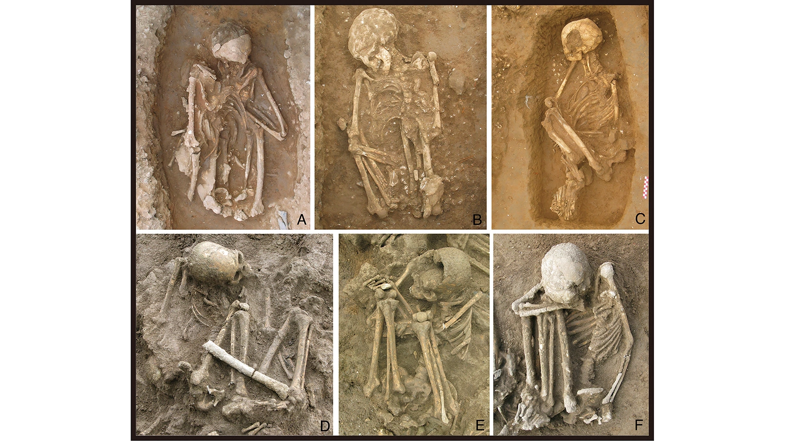 Древние мумии возрастом 12 тыс. лет