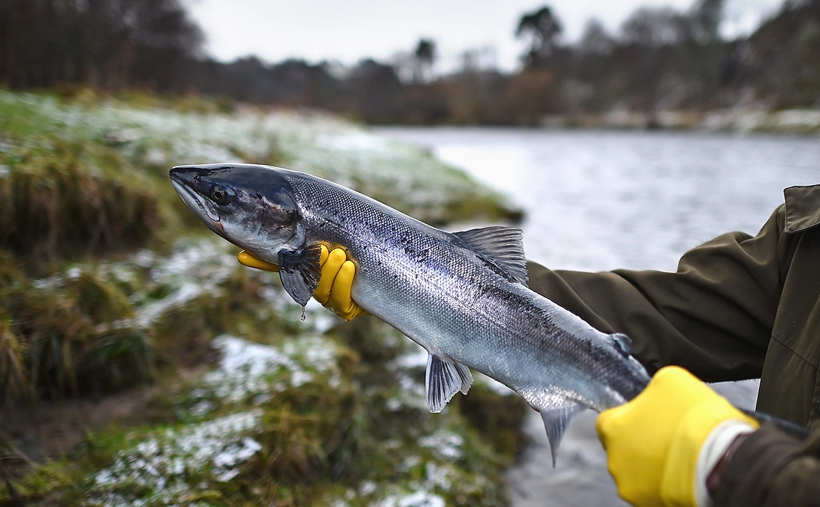  Jeff J Mitchell / Getty Images