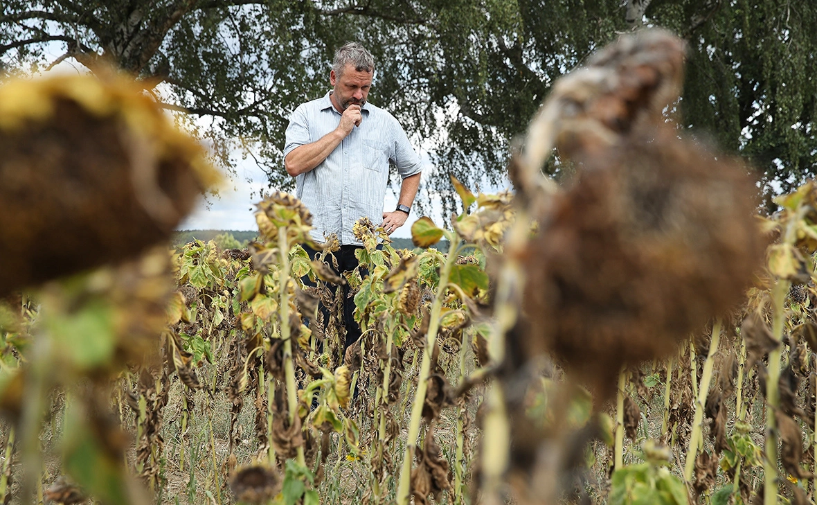 Sean Gallup / Getty Images