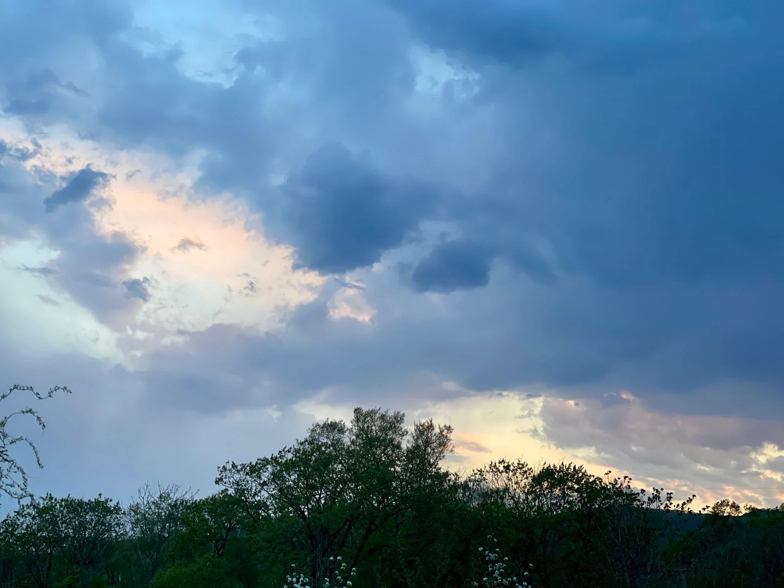 РБК Приморье