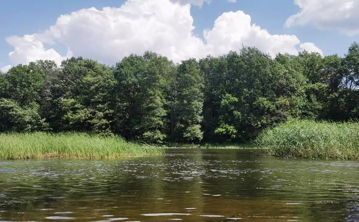 РБК Черноземье