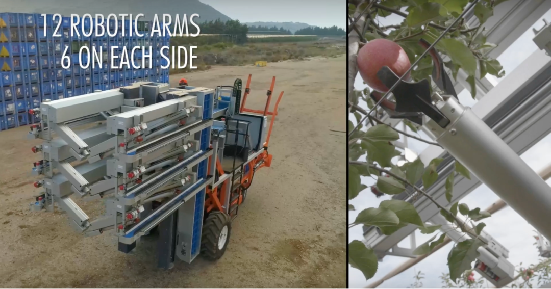 Робот для сбора урожая с трехпальцевыми манипуляторами