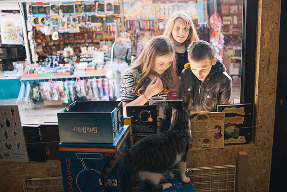 Миссия, а не бизнес: как живут независимые книжные магазины в Краснодаре