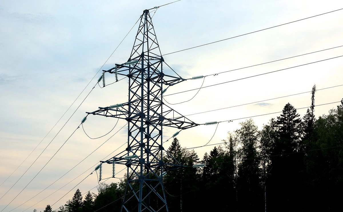 Елена Майорова / Global Look Press