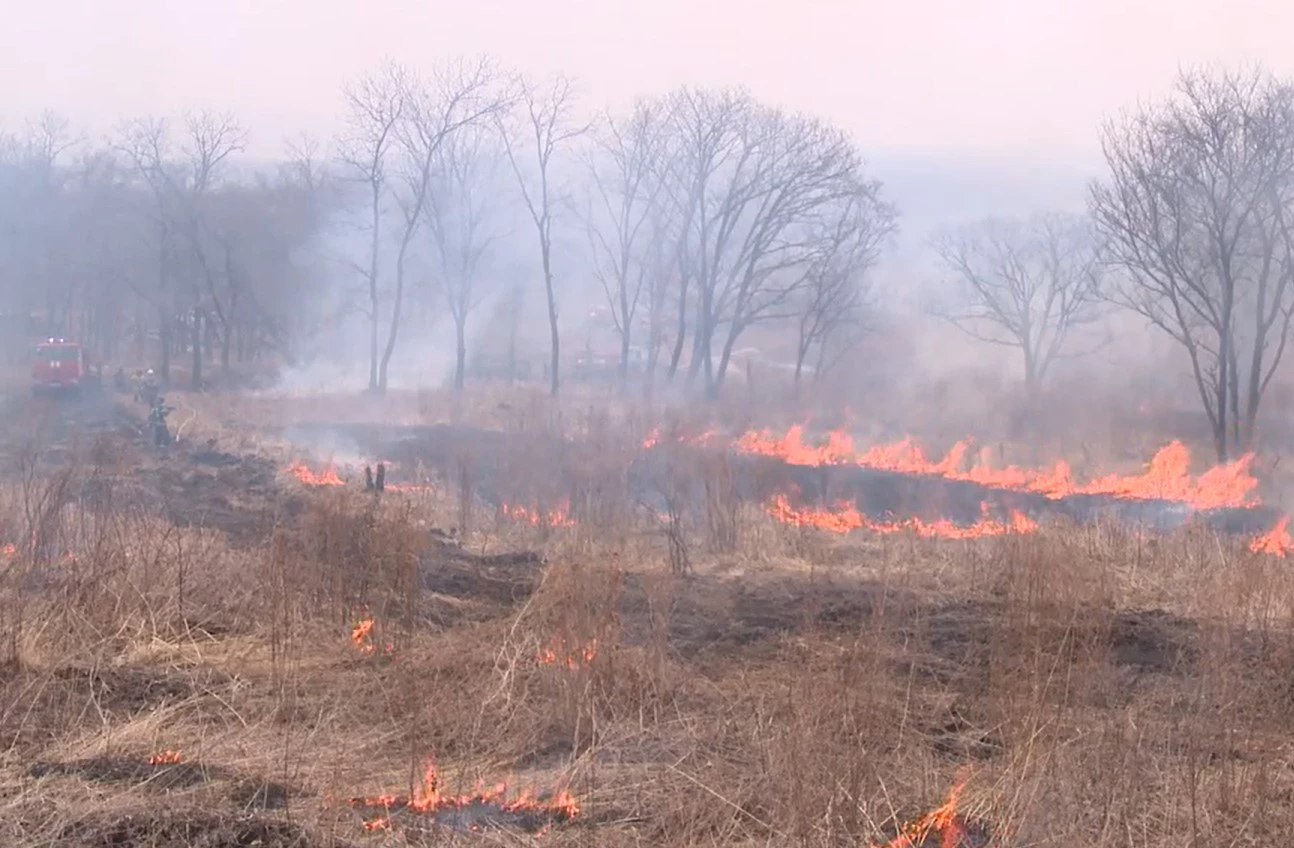 РБК Приморье