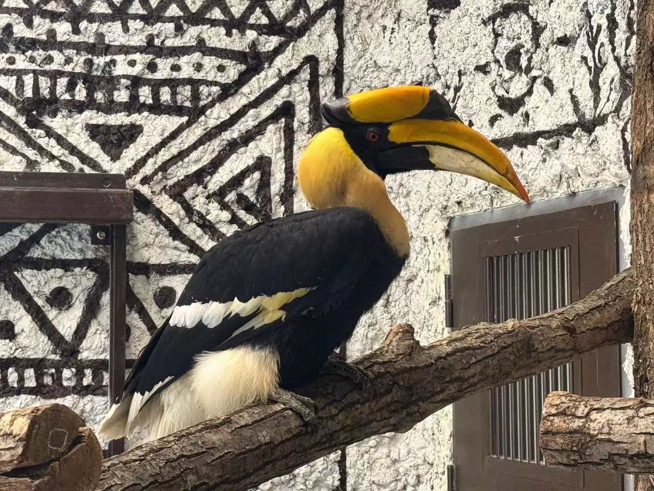 telegram-канал Аллы Платоновой