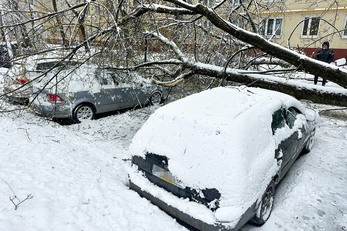 Фото: Мобильный репортер / Агентство «Москва»