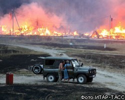 На Дальнем Востоке от лесных пожаров меньше всего пострадало Приморье 