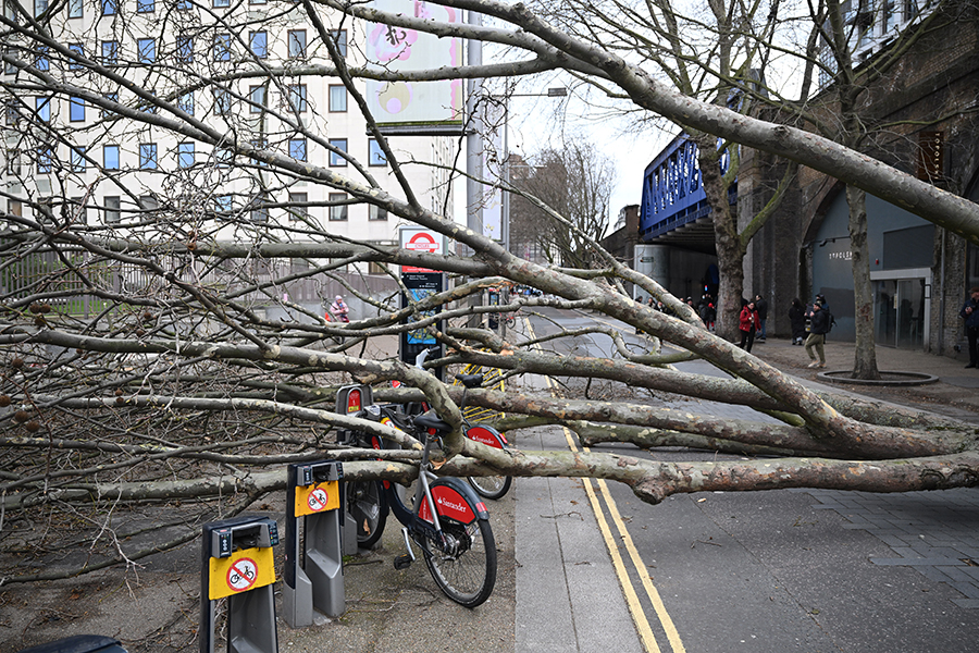 Лондон, Англия.

По данным The Guardian, жертвами стали два человека: в Лондоне женщина погибла из-за упавшего дерева, в Нетертоне мужчина погиб от попадания обломков в ветровое стекло автомобиля, в котором он ехал