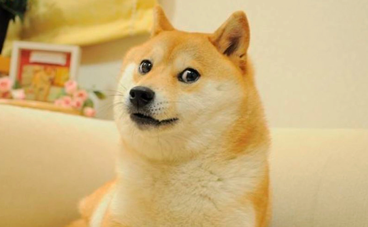 kabosumama / Instagram (входит в корпорацию Meta, признана экстремистской и запрещена в России)