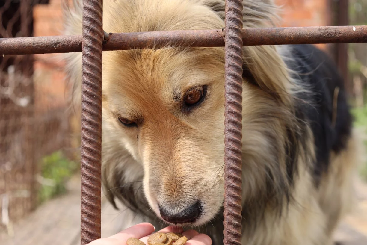 Екатерина Сычкова / URA.RU