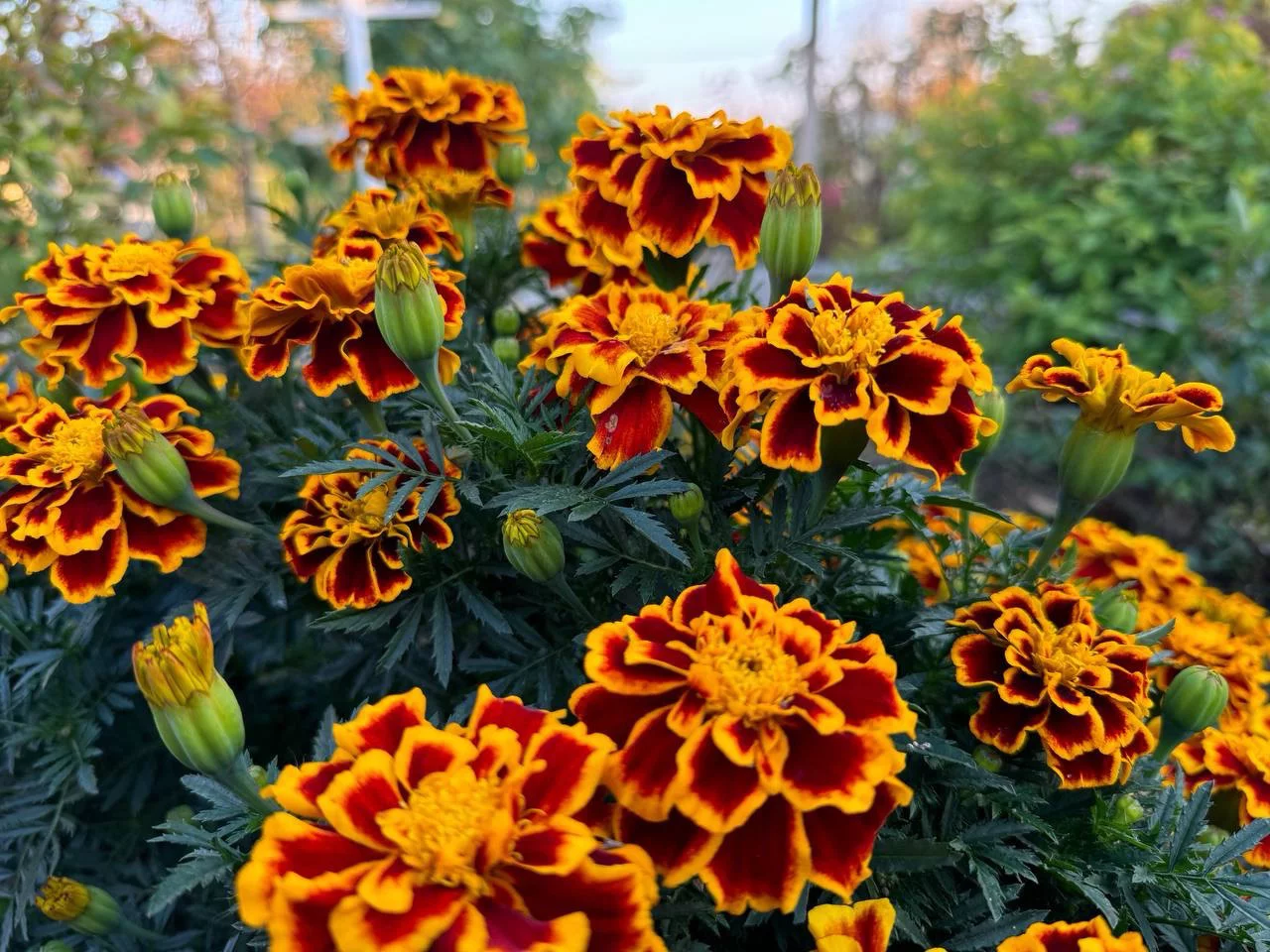 РБК Приморье