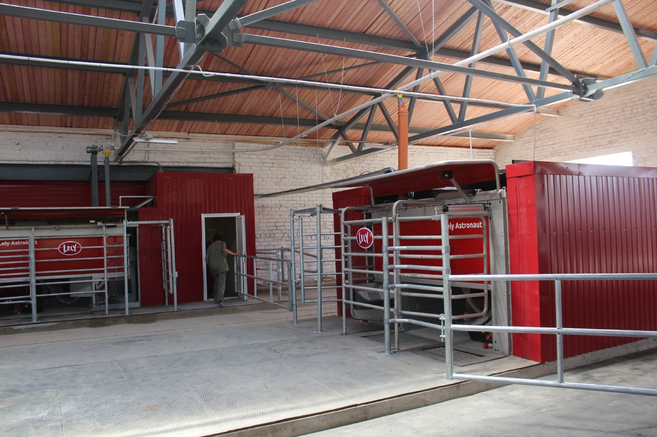 На Вологодчине реализовали крупный инвестпроект в молочном животноводстве