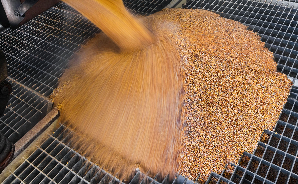 Jens Büttner / dpa / Global Look Press