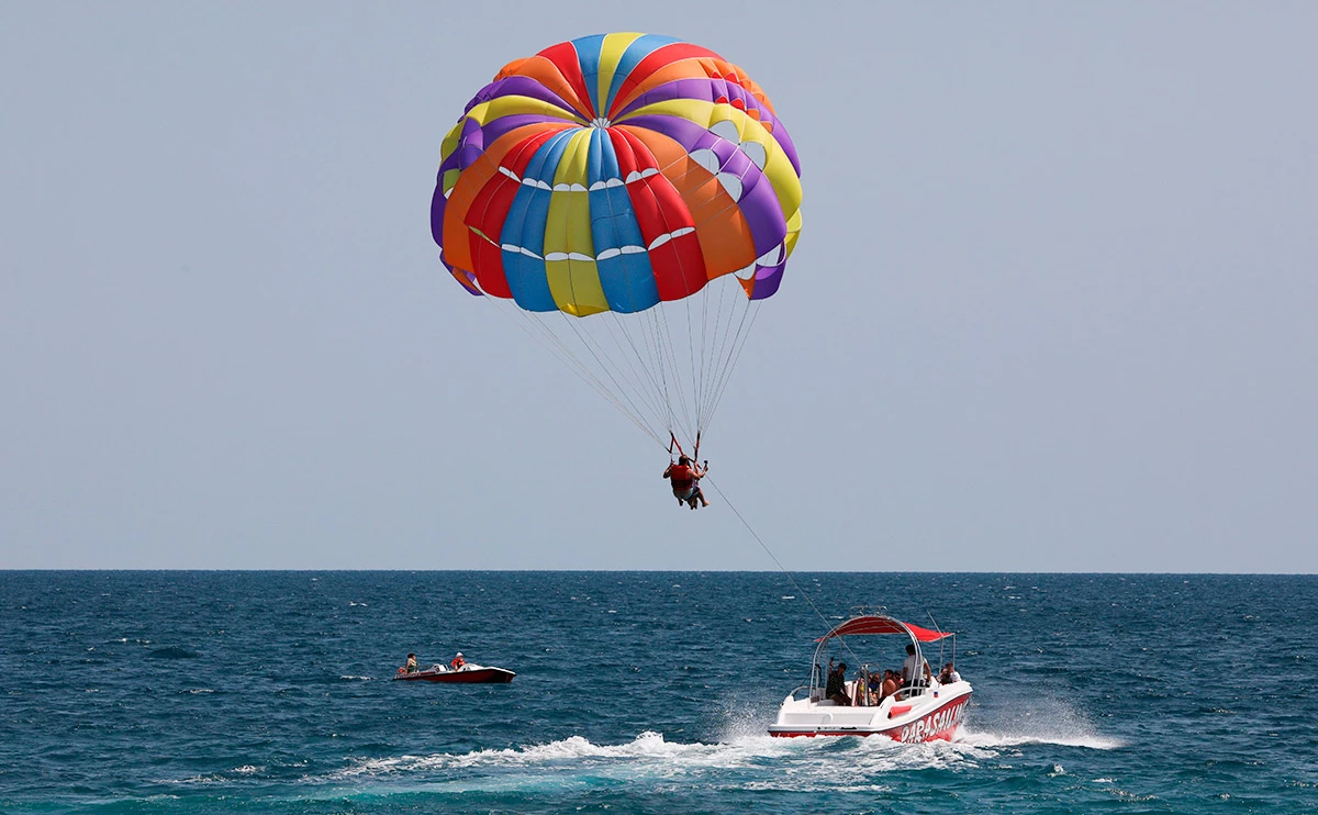Алексей Павлишак / Shutterstock