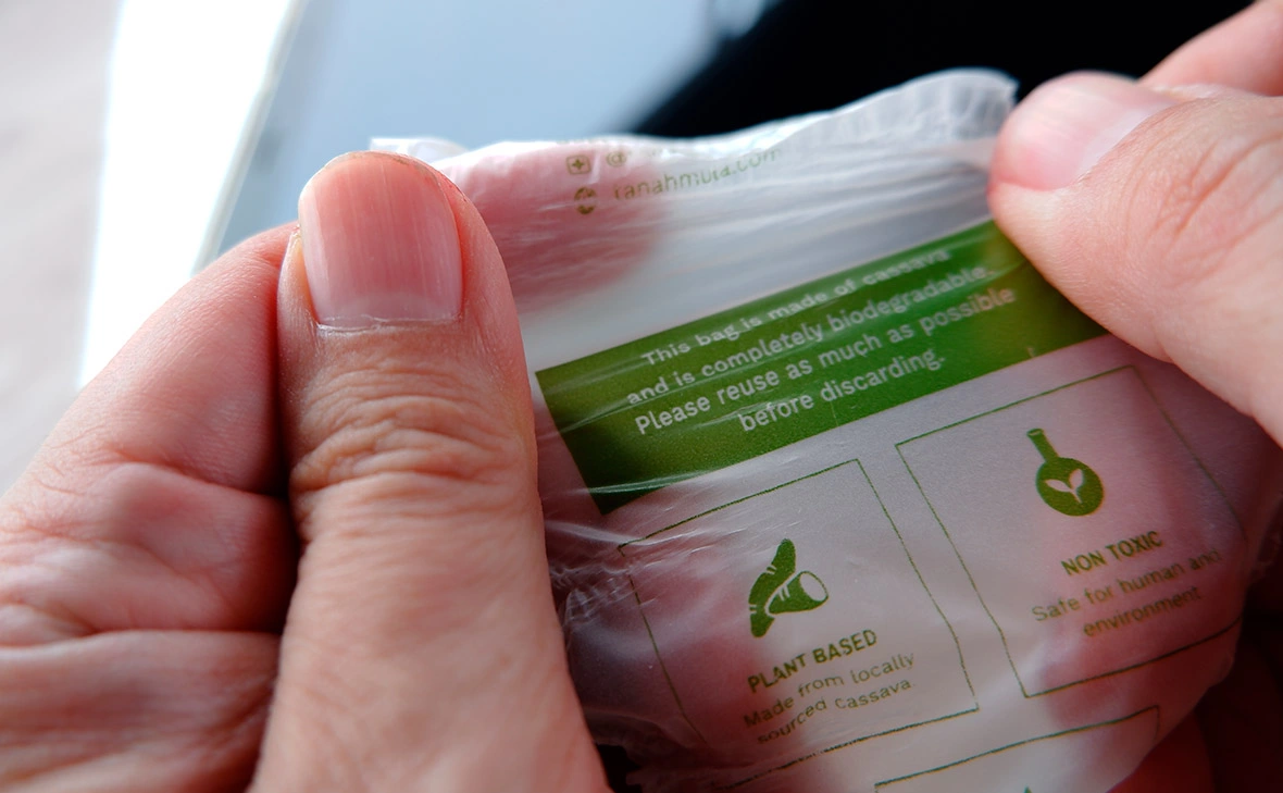 wisely / Shutterstock