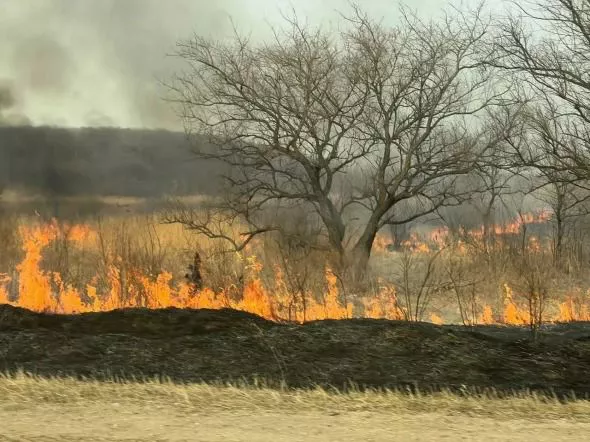 РБК Приморье